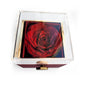 To My Beautiful Daughter - I Closed My Eyes For But A Moment - Rotating Rose Gift Box