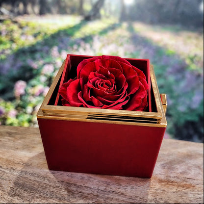 An meine wunderschöne Tochter – Ich schloss meine Augen nur für einen Moment – Geschenkbox mit drehbarer Rose