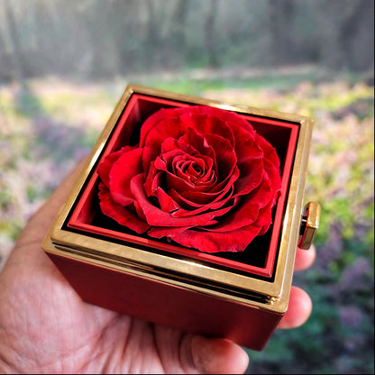 An meine wunderschöne Tochter – Ich schloss meine Augen nur für einen Moment – Geschenkbox mit drehbarer Rose