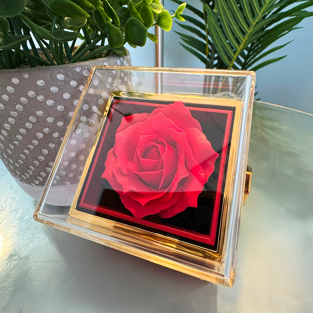 To My Beautiful Wife, Rotating Rose Gift Box - KT403
